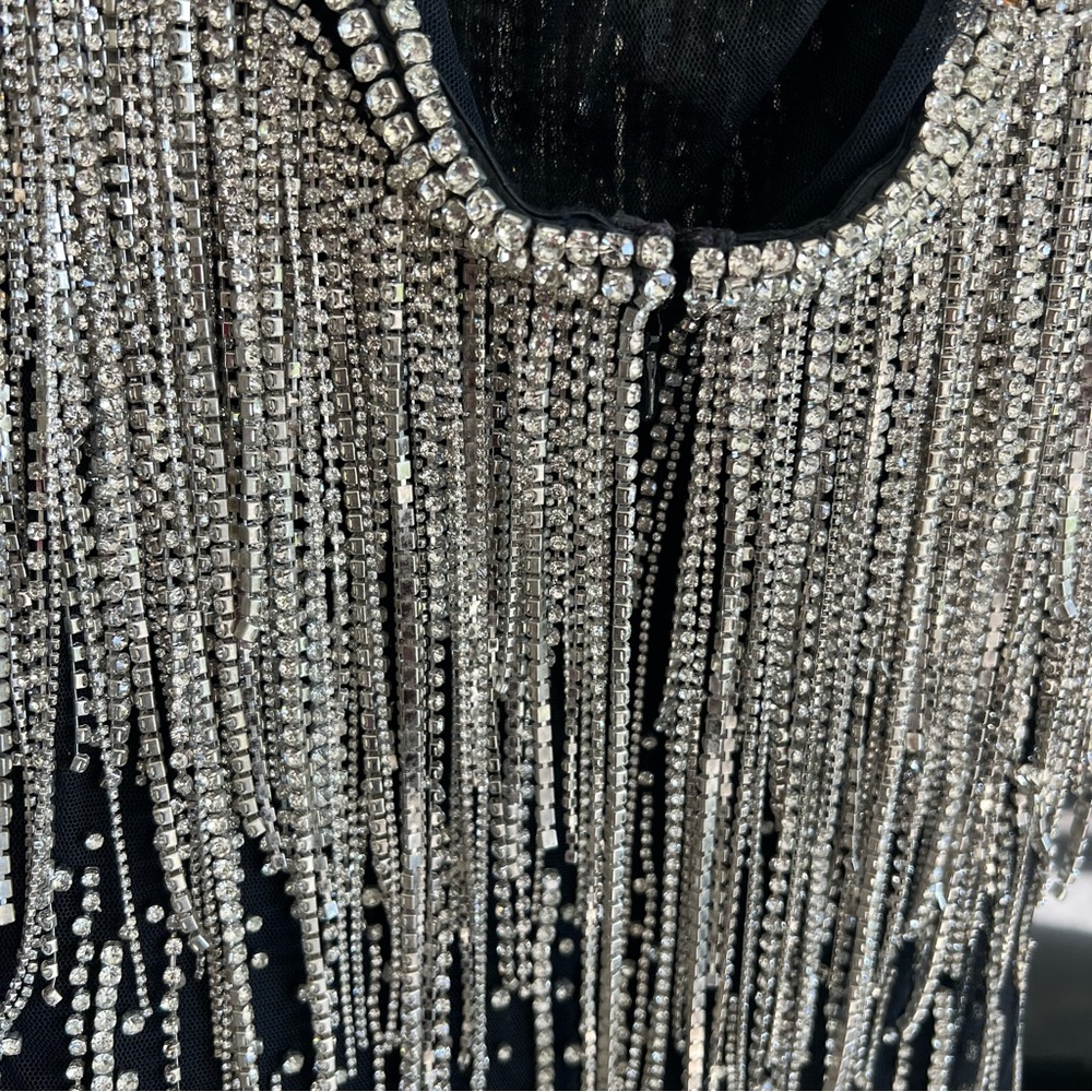 RETROFETE BELLE EMBELLISHED FRINGE DRESS NWT - Picture 15 of 16